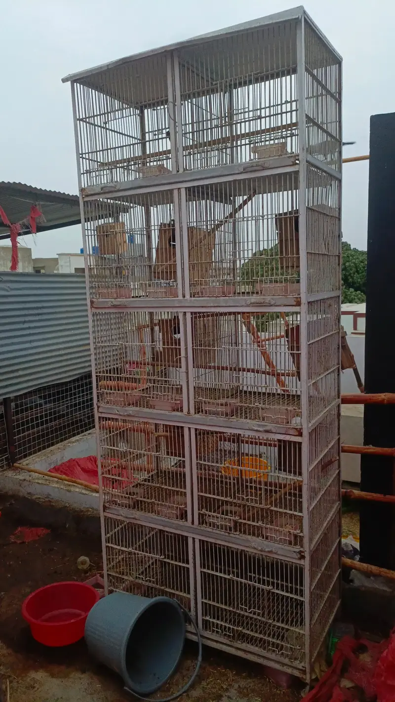 10 portions heavy duty cage — photo 2