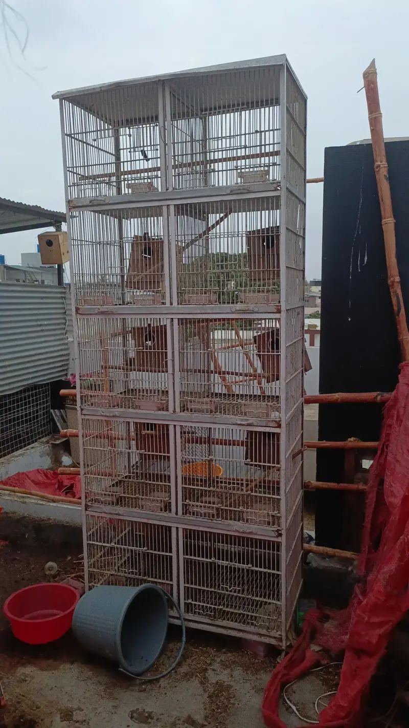 10 portions heavy duty cage — photo 3