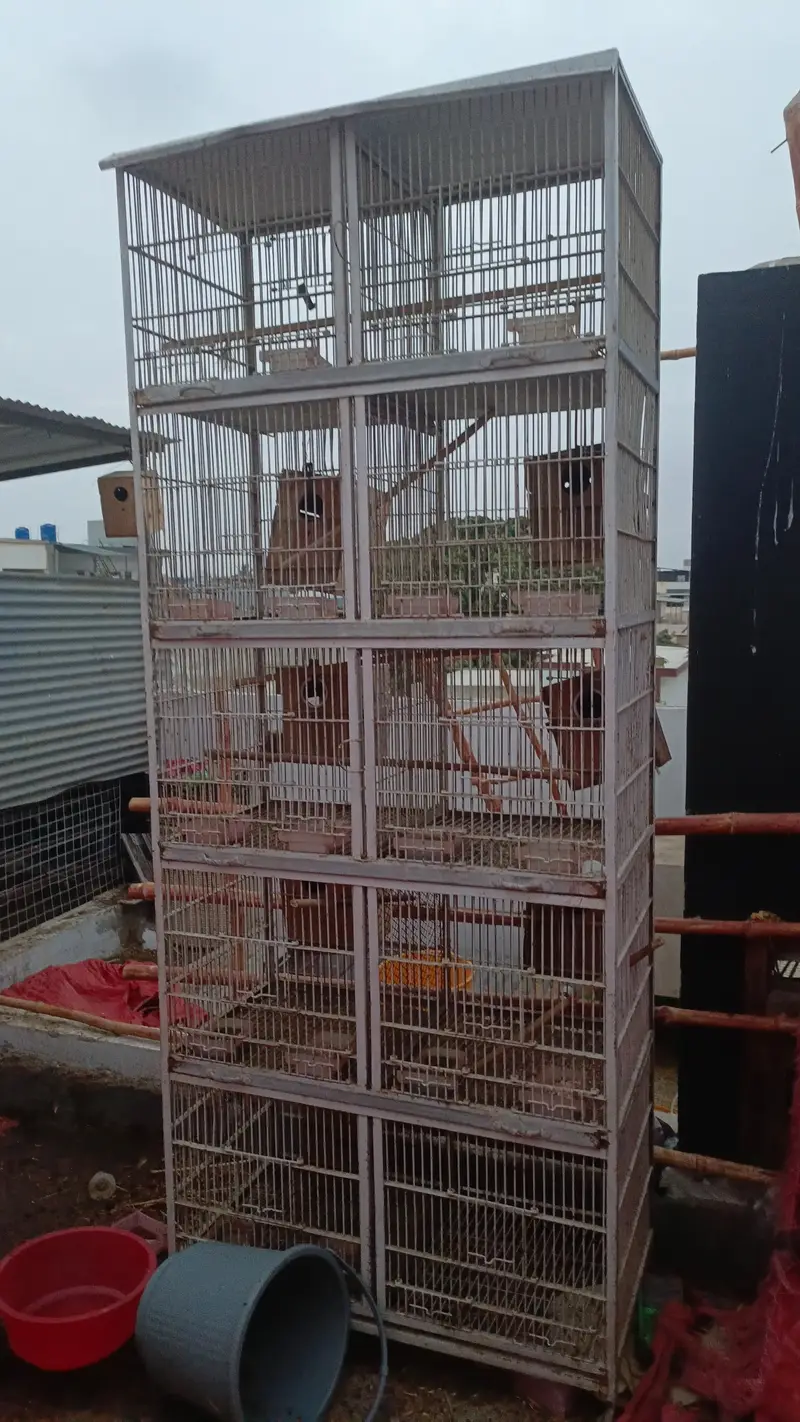 10 portions heavy duty cage — photo 4