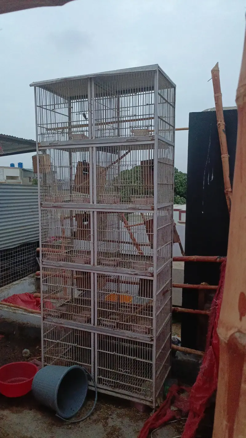 10 portions heavy duty cage — photo 5