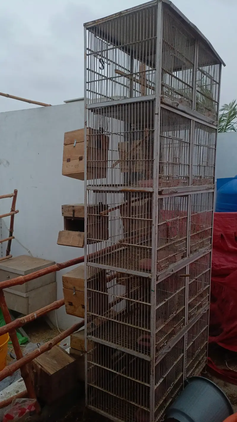 10 portions heavy duty cage — photo 7