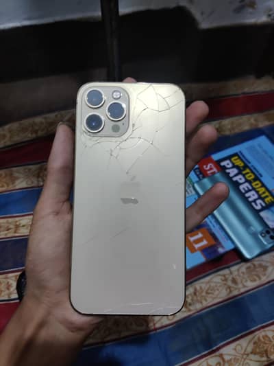 Apple iPhone 12 Pro Max