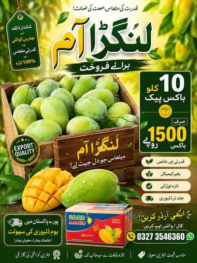 لنگڑا آم 10 کلو باکس پیک - صرف 1500 روپے میں (Export Quality)