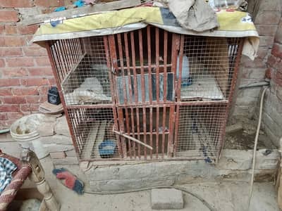 Cage ok  tota howa nahi ha
