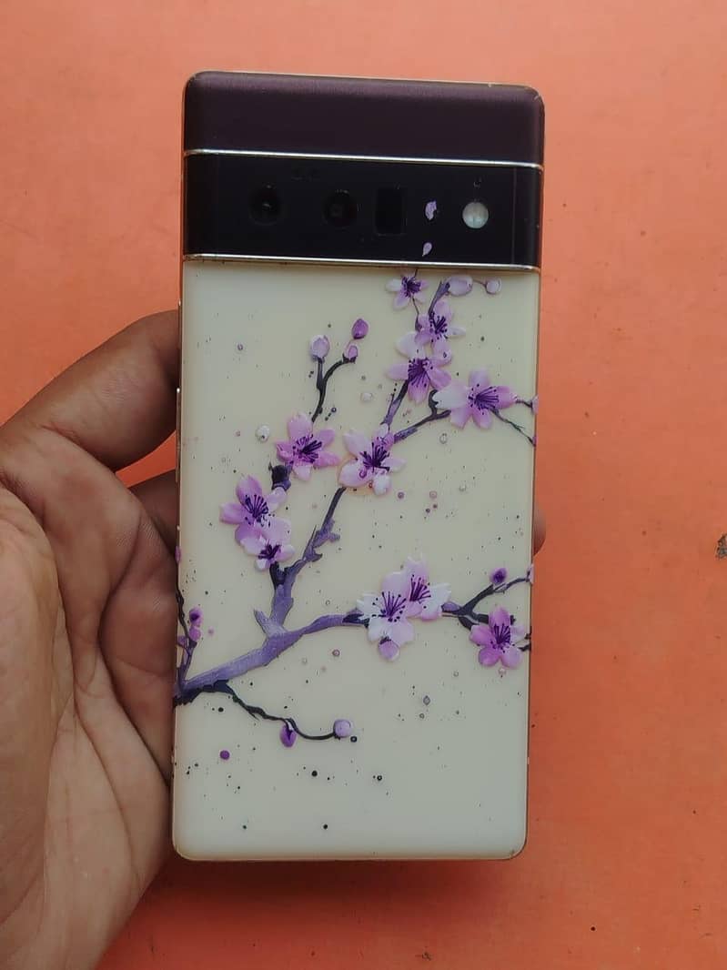 Google Pixel 6 Pro 0