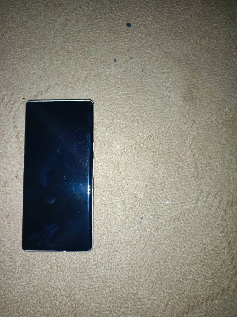 Google Pixel 6 Pro 1