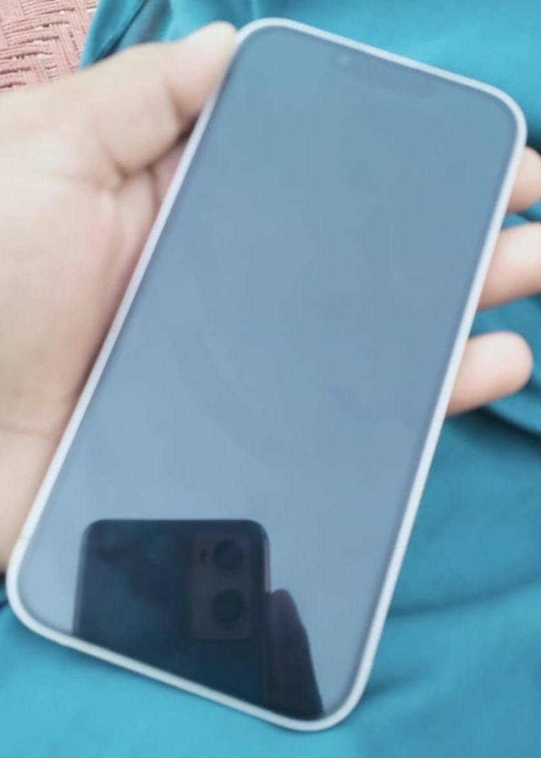 Apple iPhone 13 1