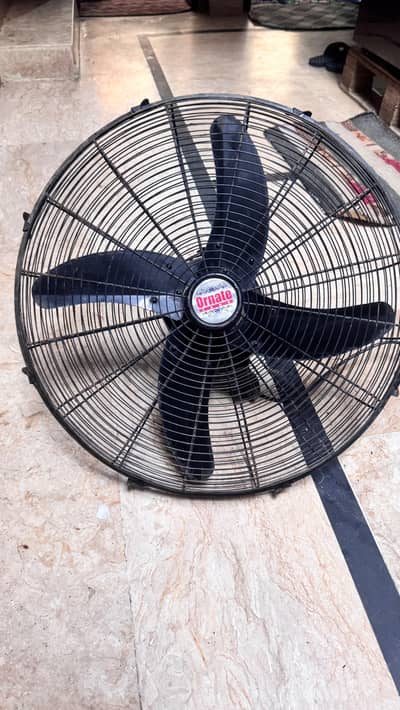 Ornate fan
