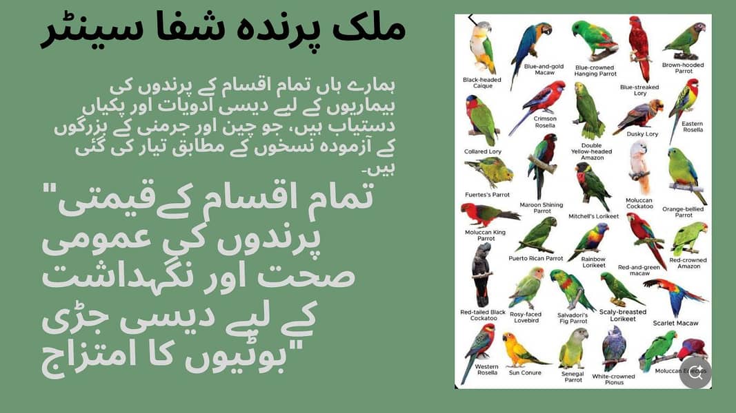 چین و جرمنی کے آزمودہ نسخوں کے مطابق تیار شدہ دیسی ادویات 1