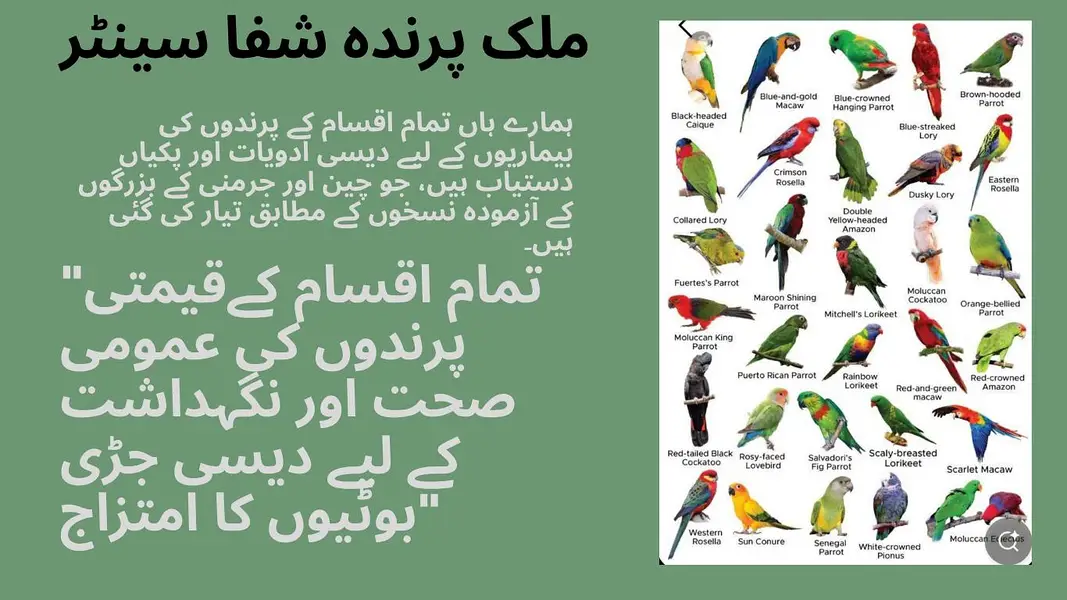 چین و جرمنی کے آزمودہ نسخوں کے مطابق تیار شدہ دیسی ادویات — photo 2