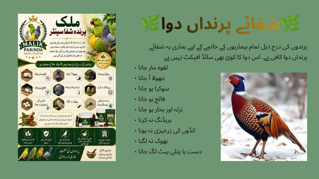 چین و جرمنی کے آزمودہ نسخوں کے مطابق تیار شدہ دیسی ادویات 2
