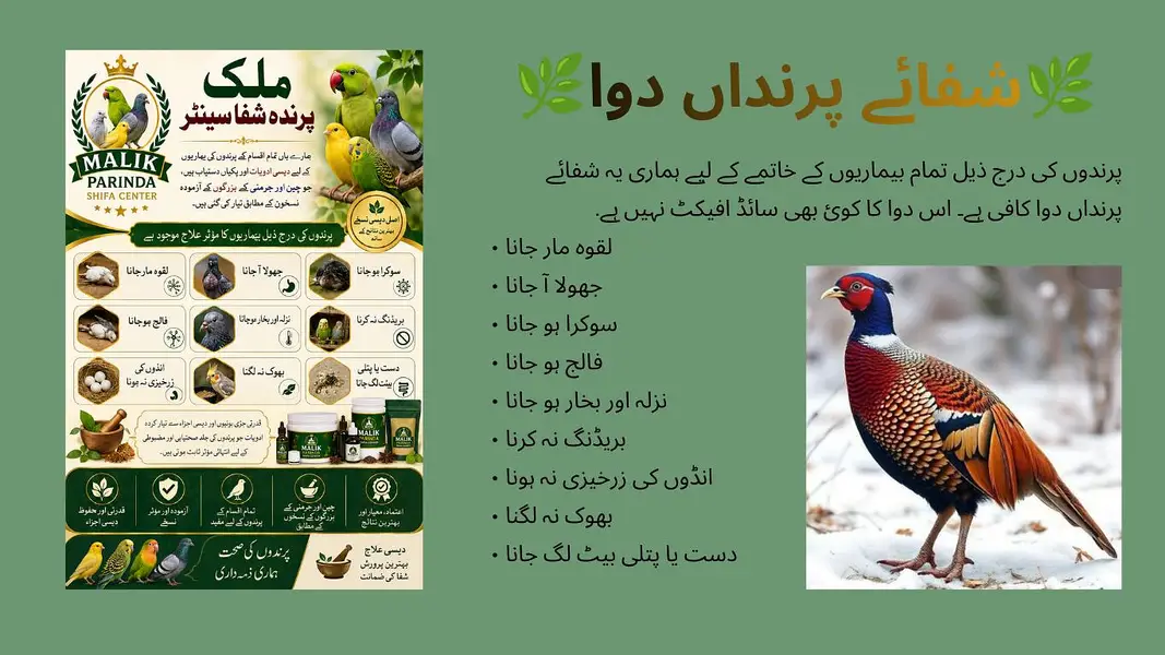 چین و جرمنی کے آزمودہ نسخوں کے مطابق تیار شدہ دیسی ادویات — photo 3