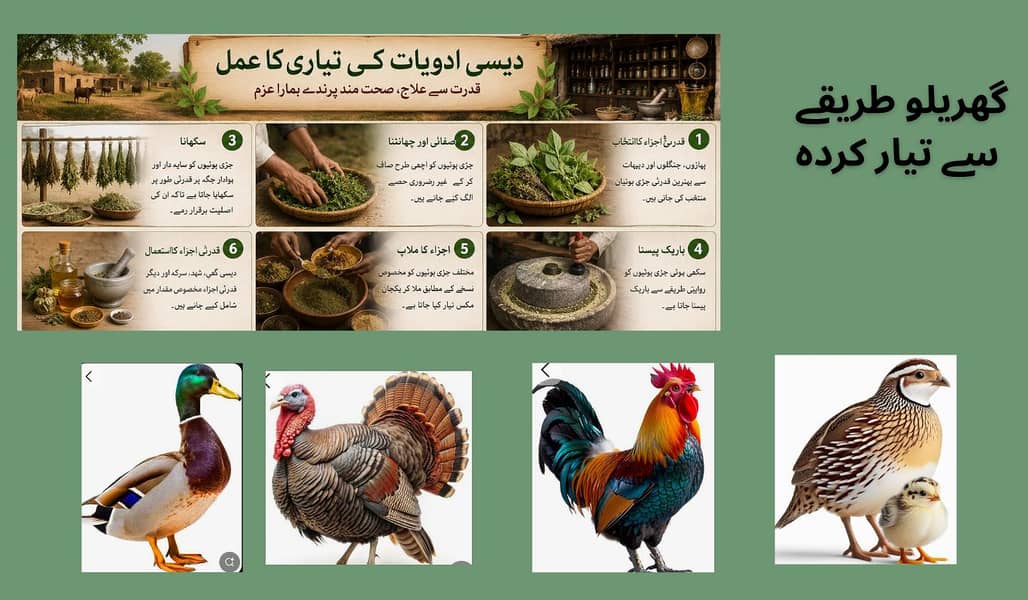 چین و جرمنی کے آزمودہ نسخوں کے مطابق تیار شدہ دیسی ادویات 4