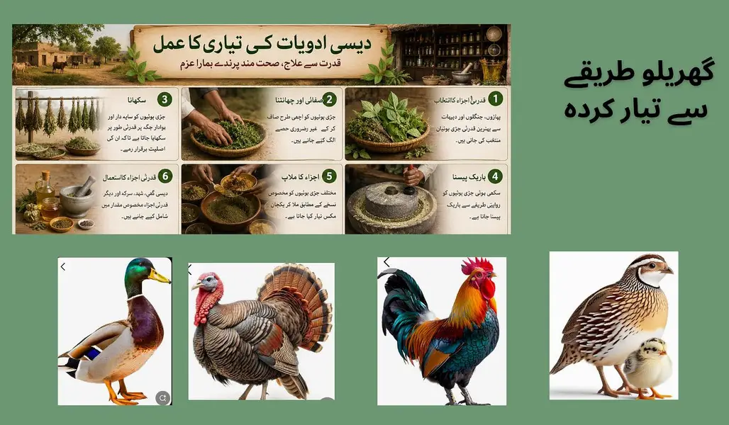 چین و جرمنی کے آزمودہ نسخوں کے مطابق تیار شدہ دیسی ادویات — photo 5