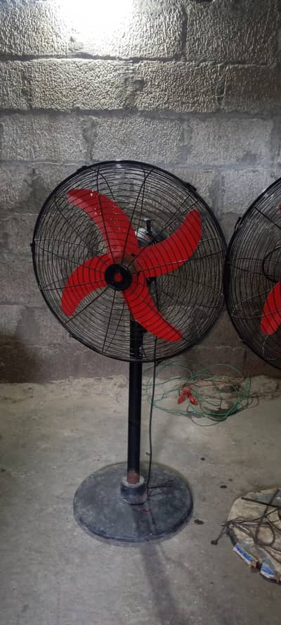 AcDc fans