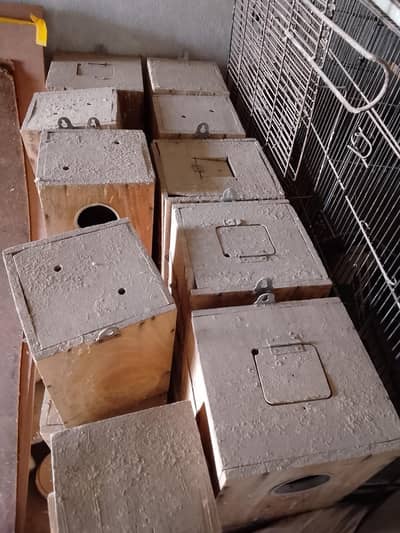 wooden breeding boxes used