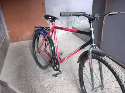 Phoenix Bicycle