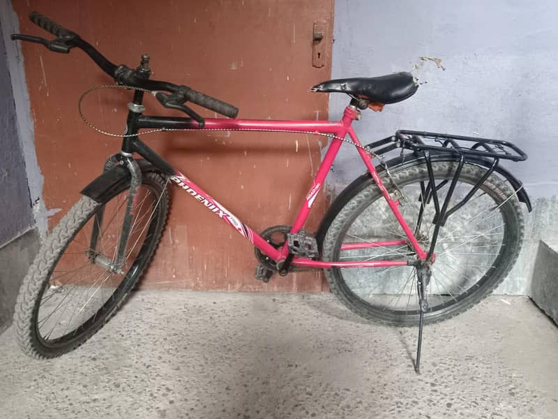 Phoenix Bicycle 1