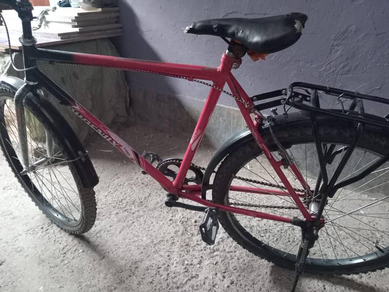 Phoenix Bicycle 2