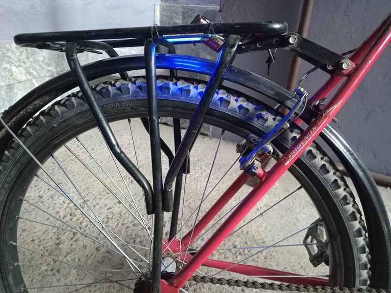 Phoenix Bicycle 3