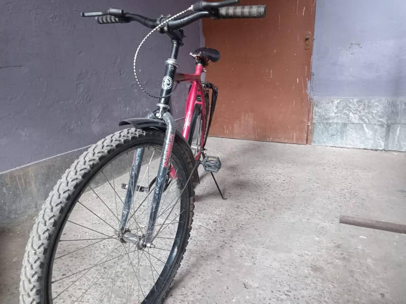 Phoenix Bicycle 4