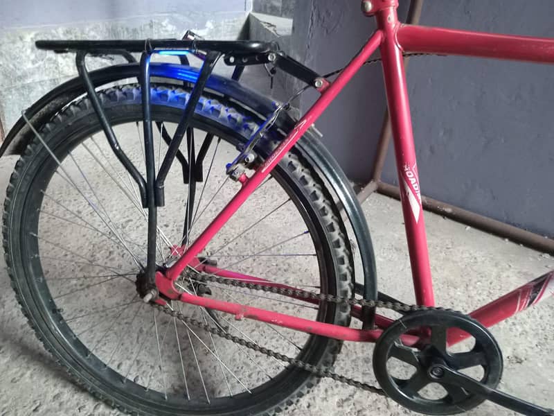 Phoenix Bicycle 5