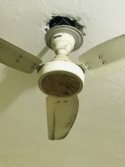 4 pcs Royal fan for sale