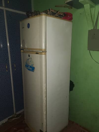 medium size pel fridge