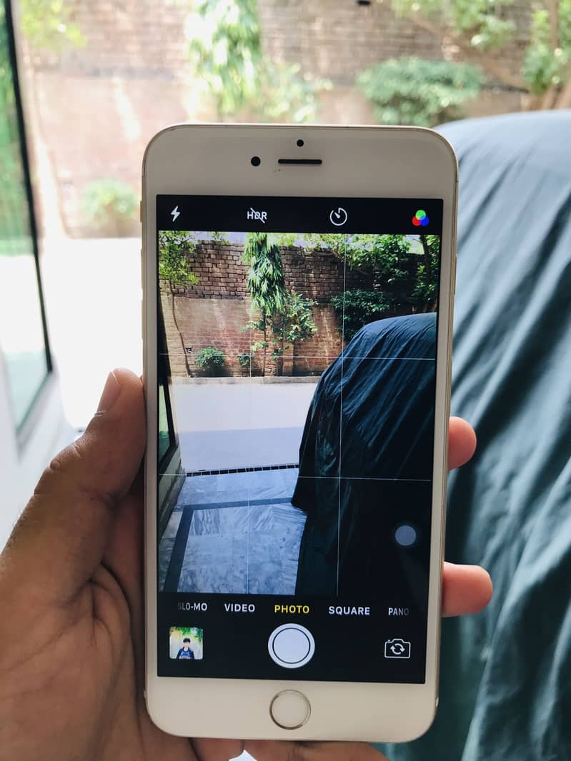 iPhone 6 plus 6