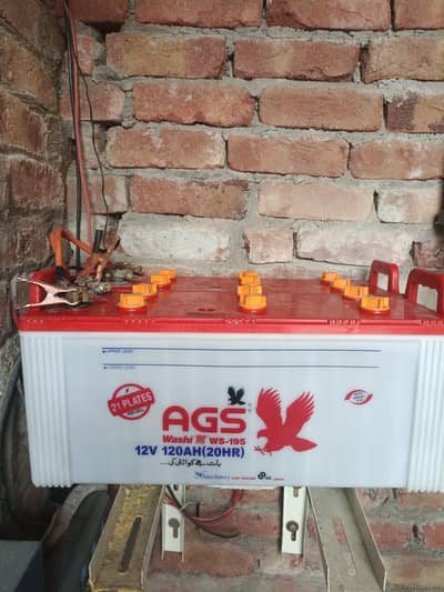 2 adad Ags bettrey for sale