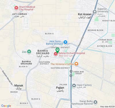 house for rent in bahria orchard