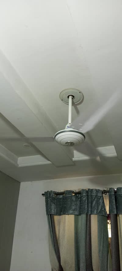 pak fan full size 2 fans