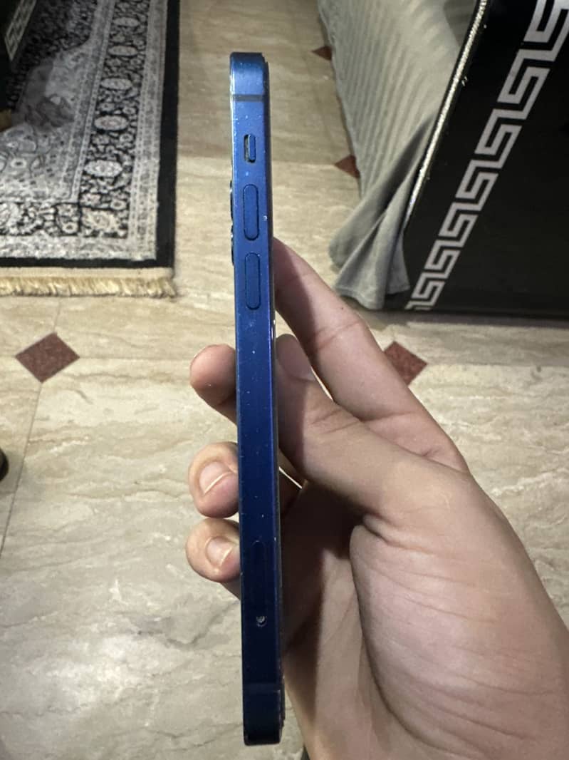 Apple iPhone 12 1