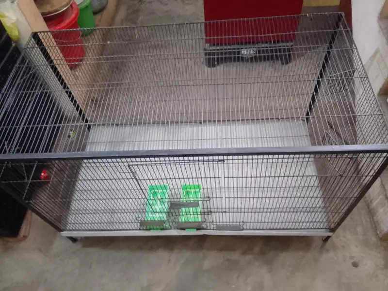cage pinjra