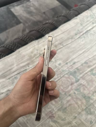 Apple iPhone 14 Pro Max buy pass 256gb