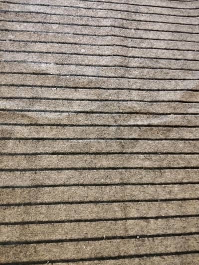 wall to wall carpet size 12 ft x 16 ft