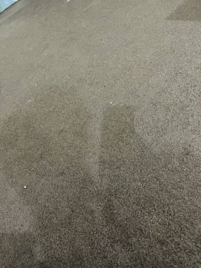 Brand new brown carpet