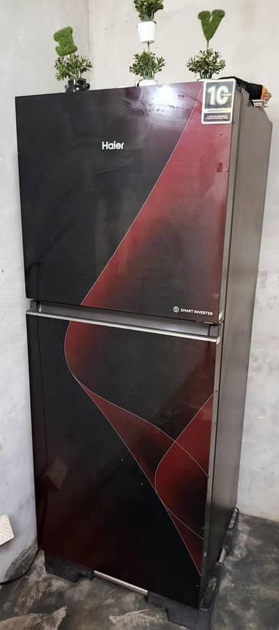Hair fridge