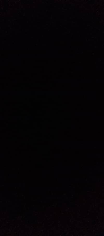 aseel murgha kis ko chahy rabta kare sfaid color me