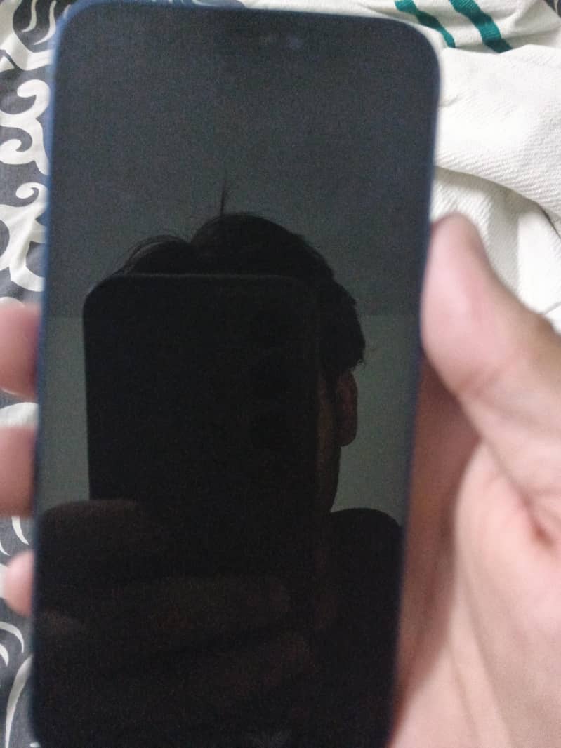 Apple iPhone 12 mini 0