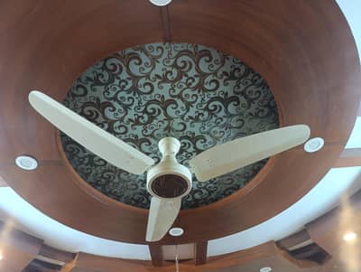 Royal Ceiling Fans
