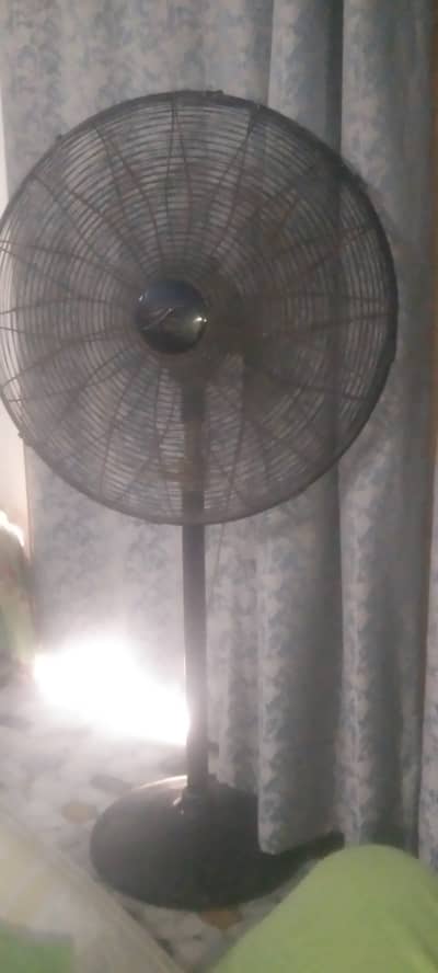 Wahid fan