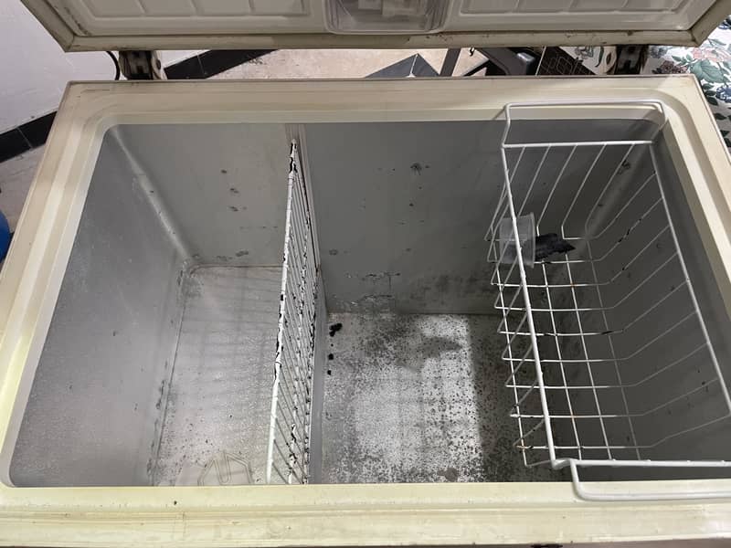 Freezer 1