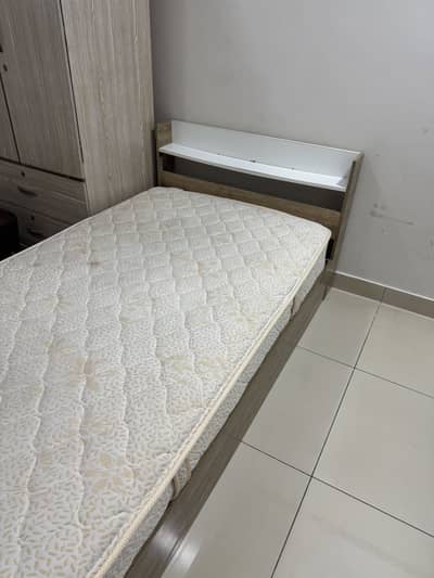 Habitt Single Bed With Master Celeste Spring Mattress DHA