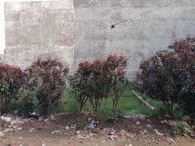 Residential Plot Sized 5 Marla Is Available For sale In Green Cap Housing Society