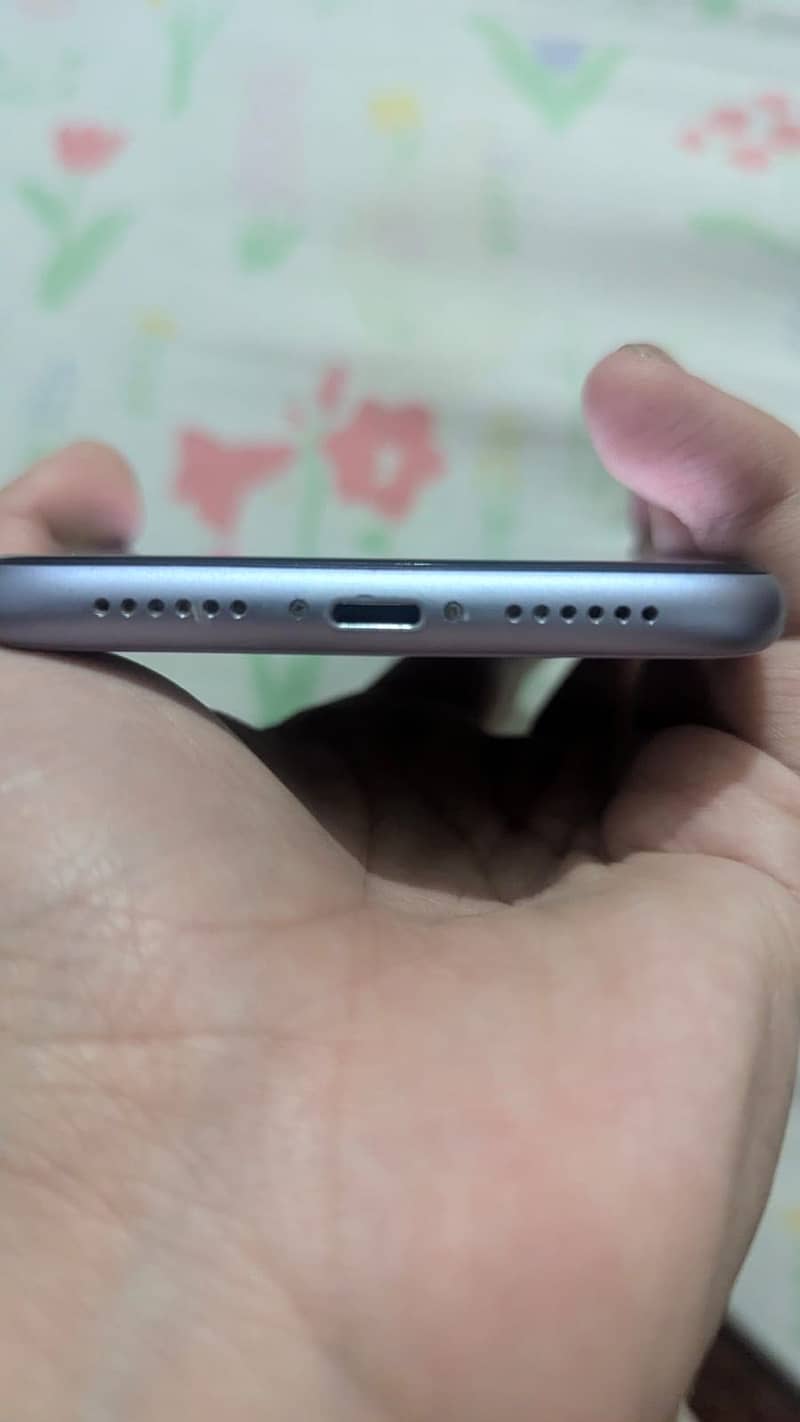 Apple iPhone 11 3