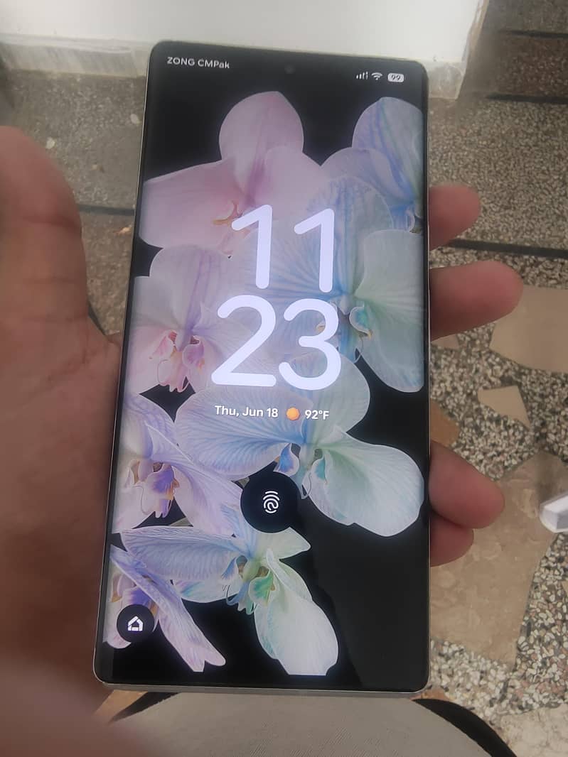 Google Pixel 6 Pro 2