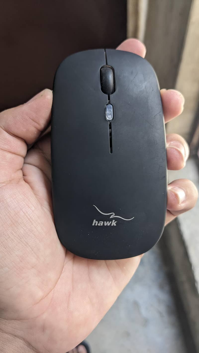 Mouse hawk 1