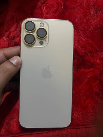 Apple iPhone 13 Pro Max