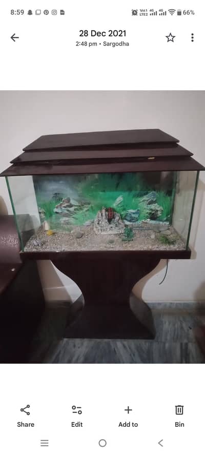 aquarium